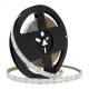 Pasek taśma LED COB Premium 20W/m RGB+WW Ciepła 5m*12mm 3000K, 24V rolka 5 metrów